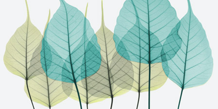 Albert Koetsier Canvas Art Prints | Albert Koetsier Panoramic Photos ...
