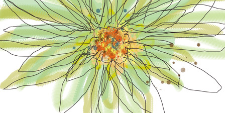 Summer Gerbera
