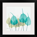 Blue and Green Bodhi Tree Leaf X-Ray Photograph