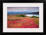 Early morning view of Mt. McKinley and Wonder Lake during Autumn