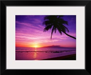 Hawaii, Maui, Olowalu, Palm Tree Silhouette At Sunset, Lanai In The Distance