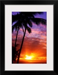 Hawaii, Oahu, Beautiful Sunset