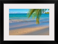Hawaii, Oahu, Footprints In The Sand At Lanikai Beach