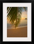 Hawaii, Oahu, Mokulua Islands, Golden Sunrise At Lanikai Beach