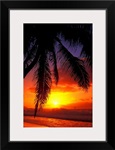 Hawaii, View Of Sunset From The Beach