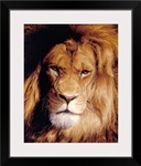 Botswana King