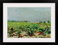 Celeyran, View of the Vineyard, 1880 (oil on canvas)