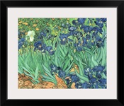 Irises, 1889 (oil on canvas)