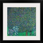 Roses under the Trees, c.1905 (oil on canvas)