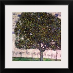 The Apple Tree II, 1916 (oil on canvas)