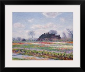 Tulip Fields at Sassenheim, near Leiden, 1886 (oil on canvas)