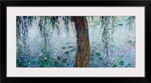 Waterlilies: Morning with Weeping Willows