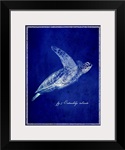 Marine Collection II - Sea Turtle