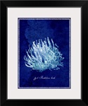 Marine Collection III - Coral
