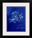 Marine Collection IV - Lionfish