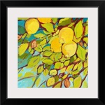 The Lemons Above