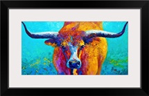 Wide Spread Texas Longhorn