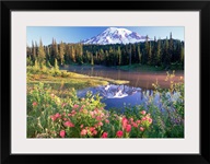 Mt Rainier and wildflowers at Reflection lake Mt Rainier National Park Washington