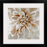 White Flower