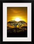 African Sky