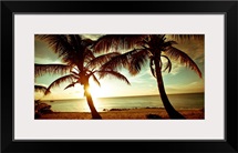 Bimini Sunset
