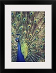 Royally Blue I