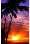 Hawaii, Oahu, Beautiful Sunset