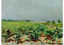 Celeyran, View of the Vineyard, 1880 (oil on canvas)