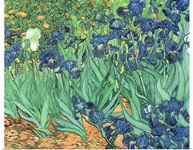 Irises, 1889 (oil on canvas)
