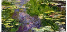 Waterlilies (oil on canvas)