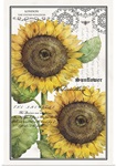 Botanical Sunflower