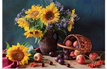 Summer still life with sunflowers, apples, peaches, plums, rowan berries and cherries