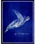 Marine Collection II - Sea Turtle