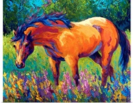 Dunn Mare