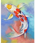 Butterfly Koi Fish