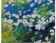 Cherry Blossoms