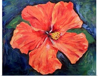 Orange Hibiscus