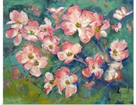Pink Flowering Dogwood