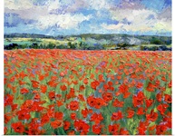Poppies