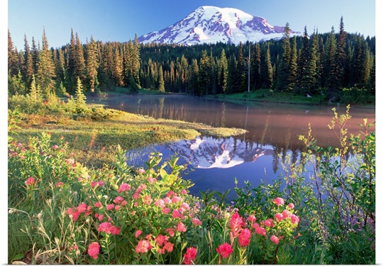 Mt Rainier and wildflowers at Reflection lake Mt Rainier National Park Washington