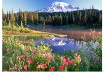 Mt Rainier and wildflowers at Reflection lake Mt Rainier National Park Washington