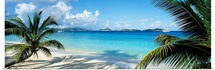 Beach US Virgin Islands