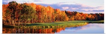 Fall Golf Course New England