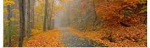 Monadnock Mountain Road NH
