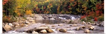 New Hampshire, White Mountains National Forest, River flowing through the wilderness