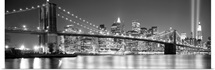 New York NY