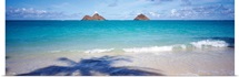 Shadow of a tree on the beach, Lanikai Beach, Oahu, Hawaii