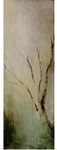 Seasons I