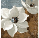 White Magnolias I