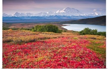 Early morning view of Mt. McKinley and Wonder Lake during Autumn